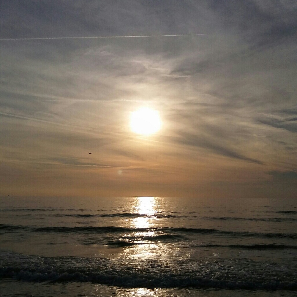 Meet your Posher, Laurie